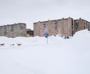 blocks in Norilsk