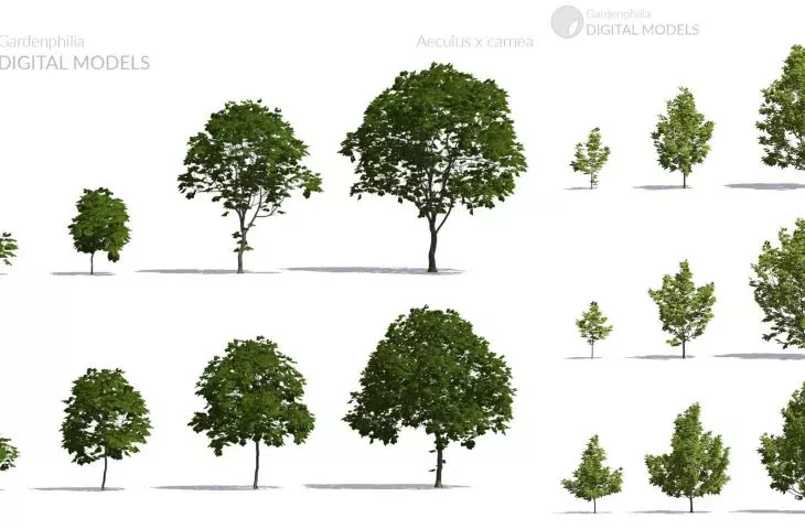 Plant models in the Gardenphilia DESIGNER app - designed by Stefan Daszewski
