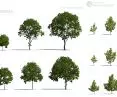 Modele roślin w aplkacji Gardenphilia DESIGNER - proj. Stefan Daszewski