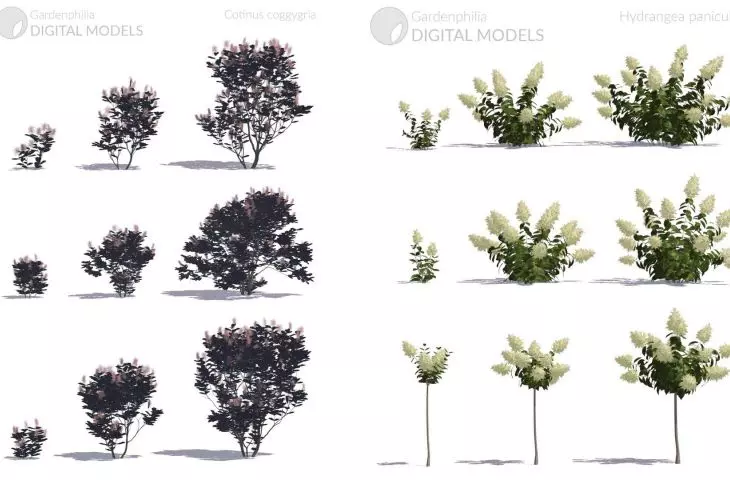 Modele roślin w aplkacji Gardenphilia DESIGNER - proj. Stefan Daszewski