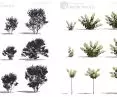 Modele roślin w aplkacji Gardenphilia DESIGNER - proj. Stefan Daszewski