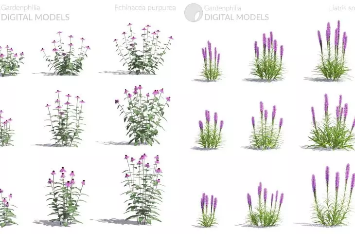 Modele roślin w aplkacji Gardenphilia DESIGNER - proj. Stefan Daszewski
