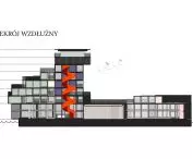 longitudinal section