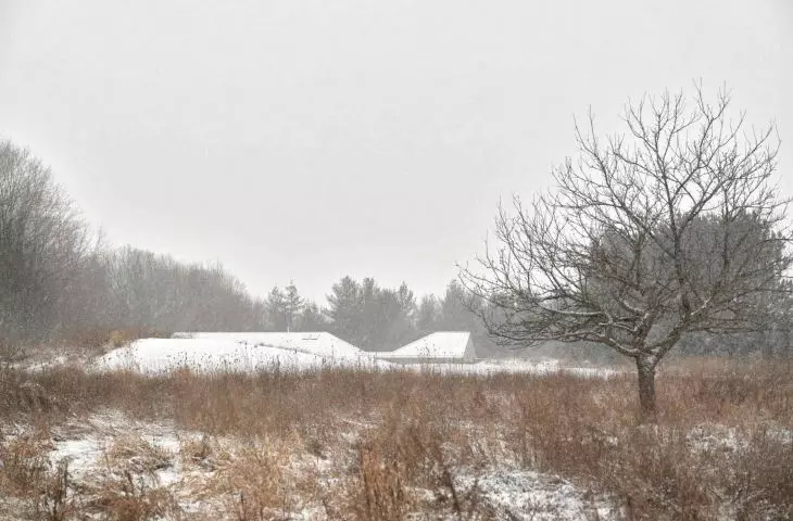 Ridge House in Canada