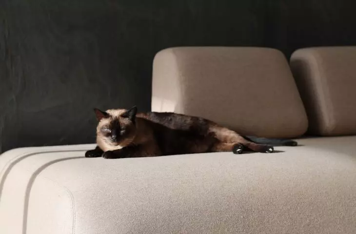 Sofa FRANK
