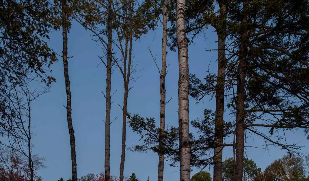 Dom nad jeziorem Lac Archambault, w kanadyjskiej miejscowości Saint-Donat