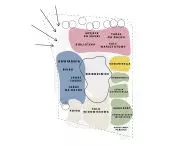 Wilderness Cultural Courtyard; features