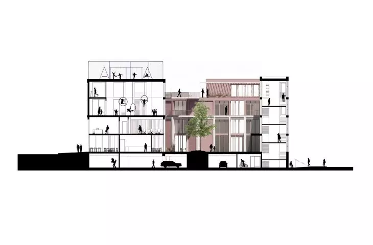 Wild Cultural Courtyard; cross-section