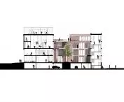 Wild Cultural Courtyard; cross-section