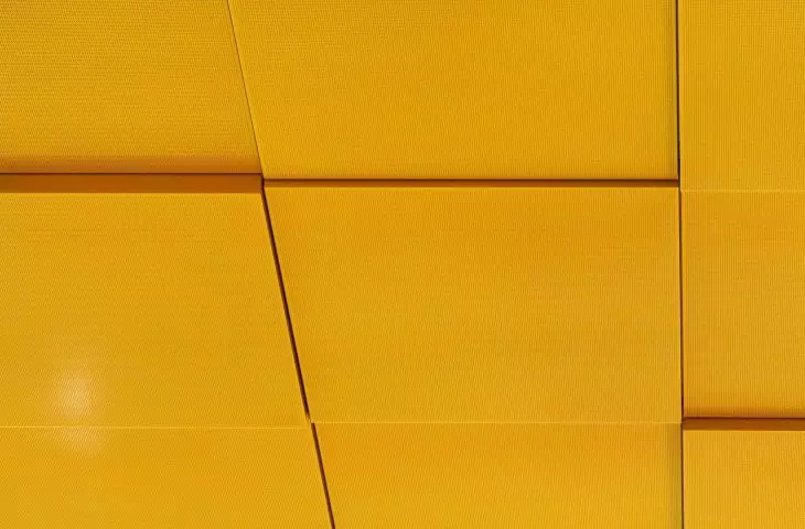 Wellness Real Estate and Strength-Based Design: Longevity enters architecture.