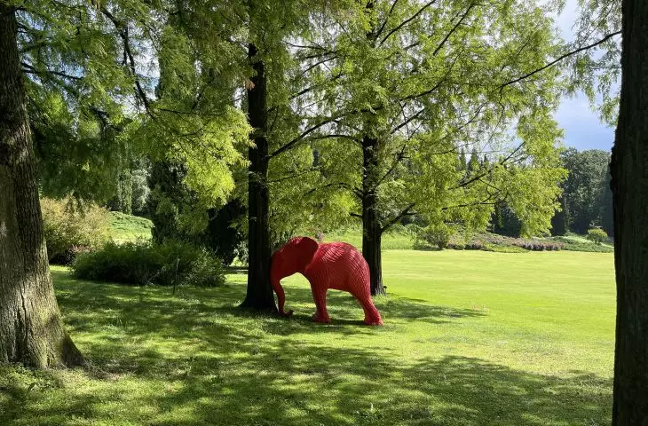 Urban decoration - Crackingart