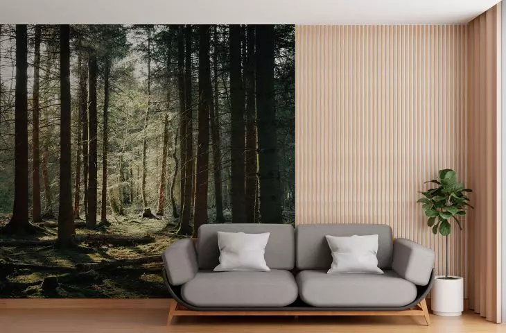 APAfelt art - custom personalized graphic acoustic walls made for the project and interior
