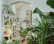 kwiaciarnia Lola Flora