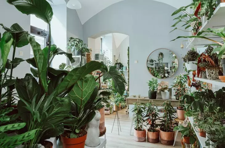 Lola Flora florist