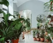 kwiaciarnia Lola Flora