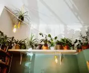 cafe Greenhouse
