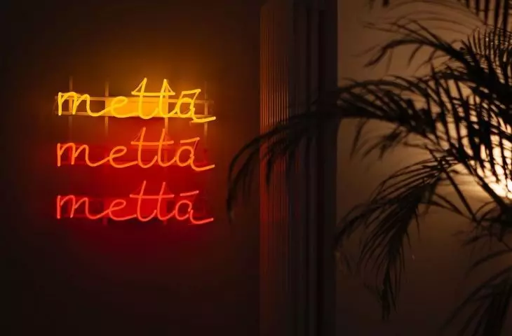 neony projektu Dellfiny Dellert
