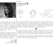 A note about the author Marta Gąciarz