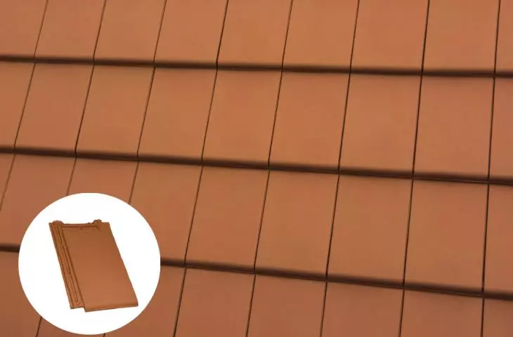 Dachówka BERGAMO Czerwona naturalna z oferty Röben
