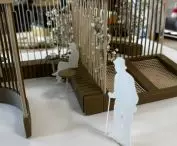Competition project 
