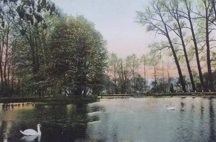 rozlewisko za III śluzą, gdzie często można było zobaczyć łabędzie; pocztówka wydana około 1910 roku