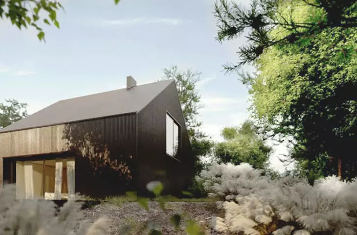 House in color - brown house