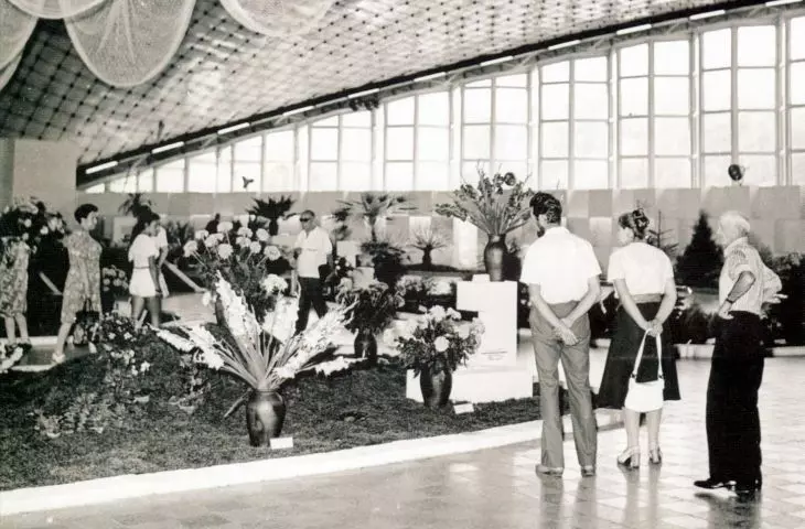 wystawa kwiatów w 1975 r., wnętrze hali Kapelusz