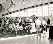 wystawa kwiatów w 1975 r., wnętrze hali Kapelusz
