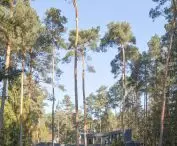 view of the house from the clearing