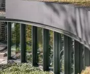 zielony dach