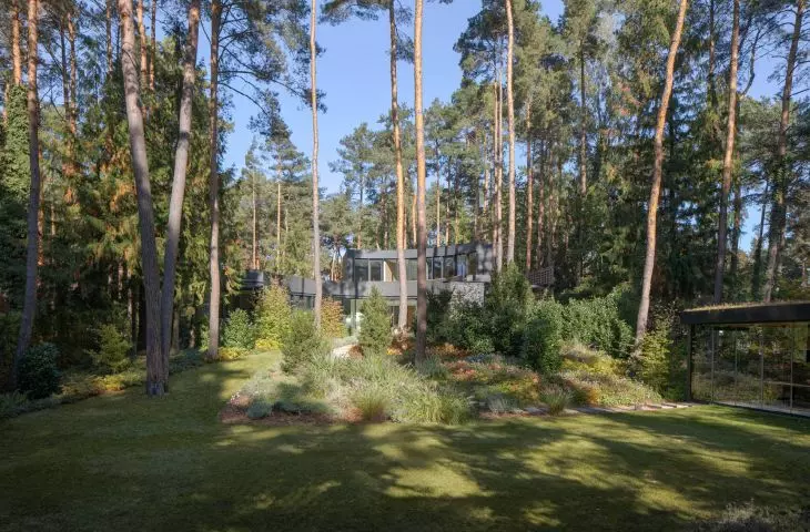 view of the house from the clearing
