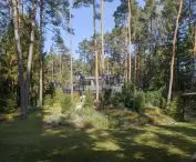 view of the house from the clearing