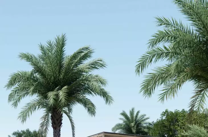 Kindergarten project in southern Senegal