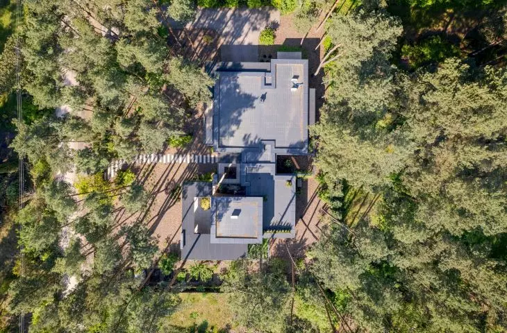 bird's eye view