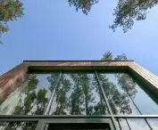 large glazing reflects the trees surrounding the house