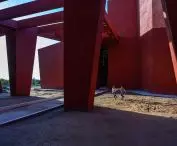 Szkoła Rajasthan w Nagaur