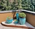 Renovation of terrace wall with Thermocork