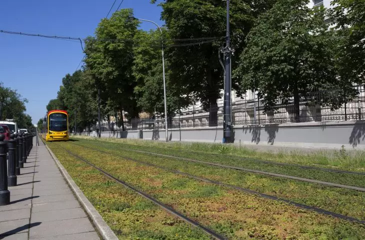 Green track Warsaw