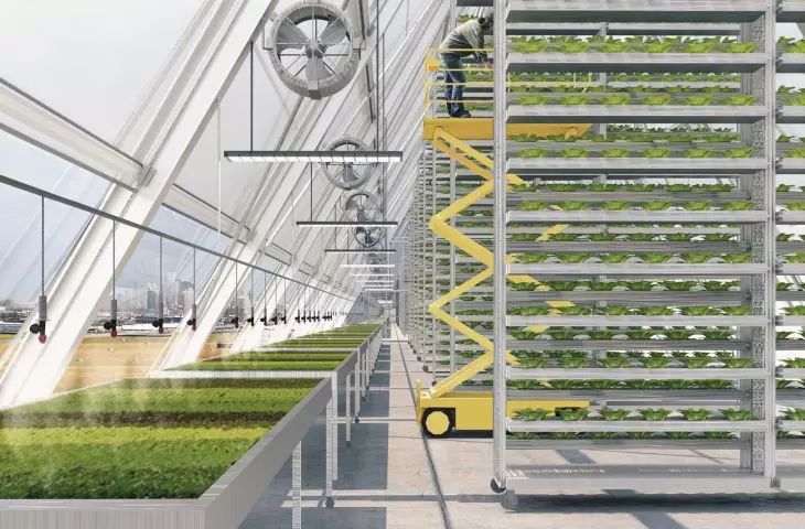 Brooklyn Dairy Project - Industry City as farms of the future and new city model