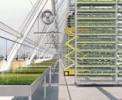 Brooklyn Dairy Project - Industry City as farms of the future and new city model