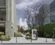 Green alley on the west side of the complex