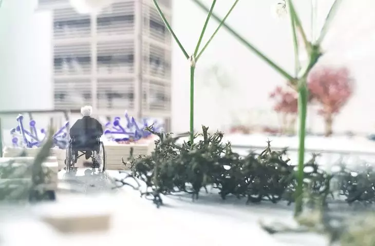 Terapeutyczny ogród