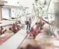 The path runs through the garden 