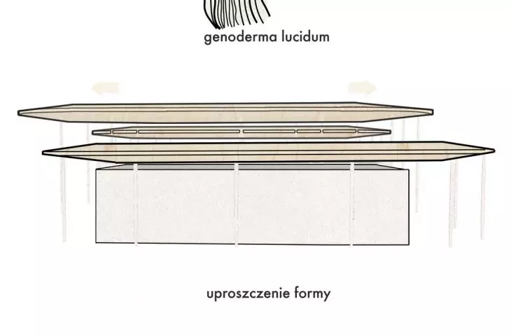 the logic behind the emergence of the roof form