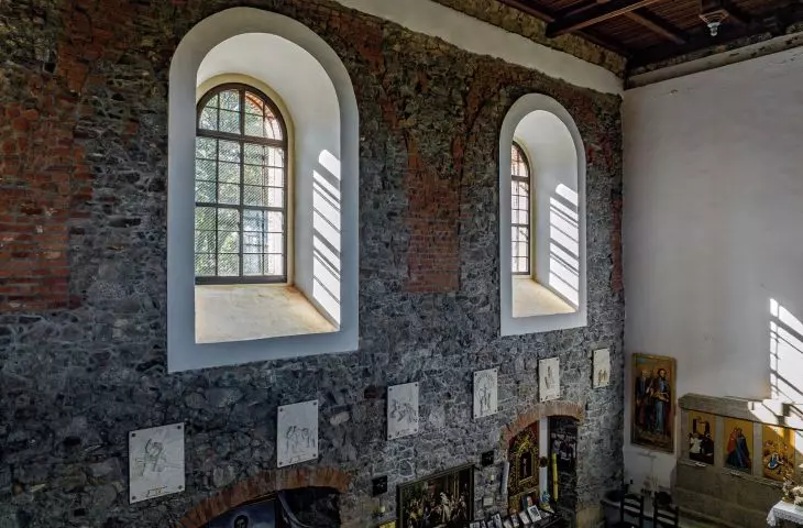 FAKRO INNOVIEW windows