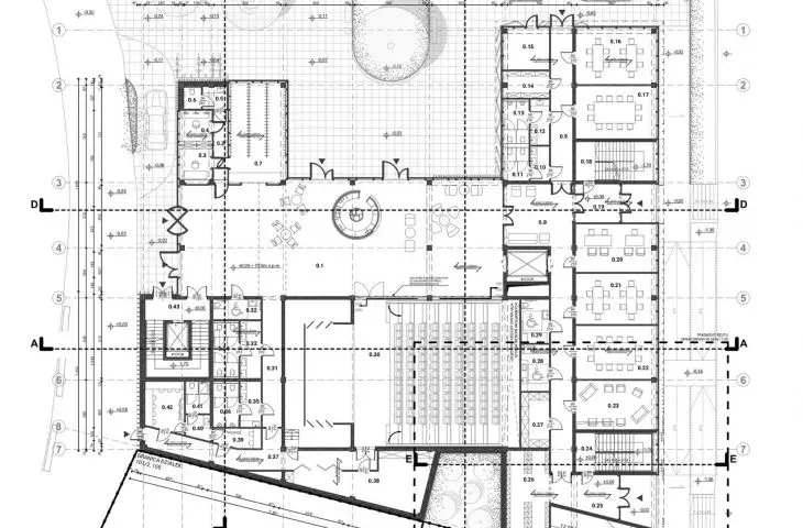 level 0 projection