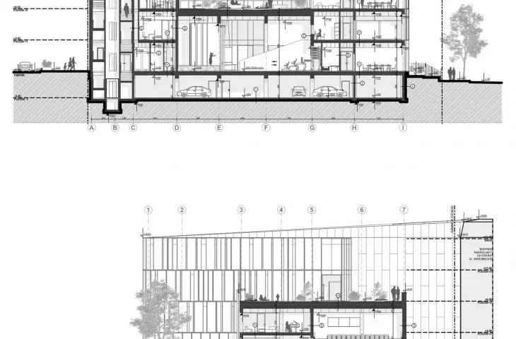 sections