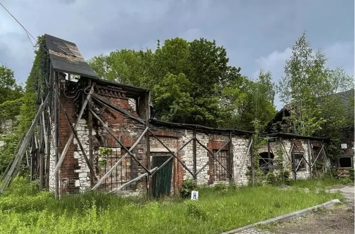 Pałac Donnersmarcków — ruiny budynków użytkowych