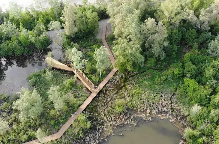 Drewniana kładka prowadzi do czatowni