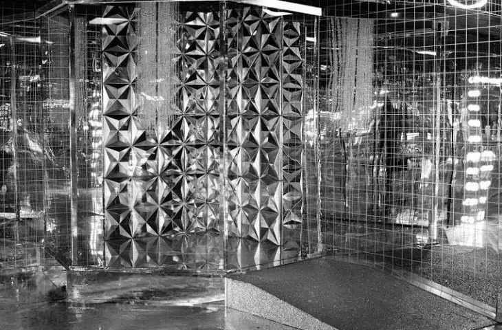 Shelli Weiler, ENJOY Project 